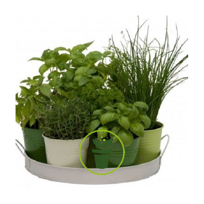 Plantes aromatiques en mélange 2 grammes Plantes aromatiques en mélange 2 grammes