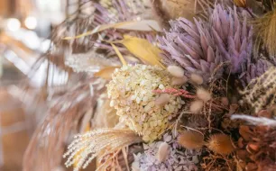Fleurs séchées : comment les cueillir et les faire sécher selon la variété