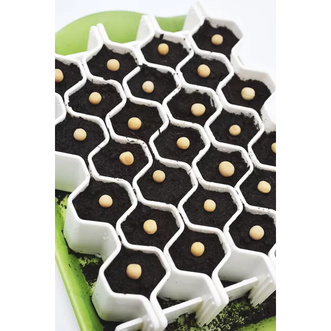 Kits de germination Germie