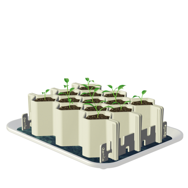 Kits de germination Germie Modèle L