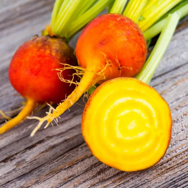 Betterave potagère Burpee’s Golden 120 graines