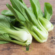 Chou de Chine Pak Choi 300 graines