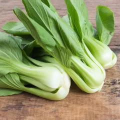 Chou de Chine Pak Choi 300 graines