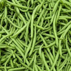 Haricot nain mangetout Délinel