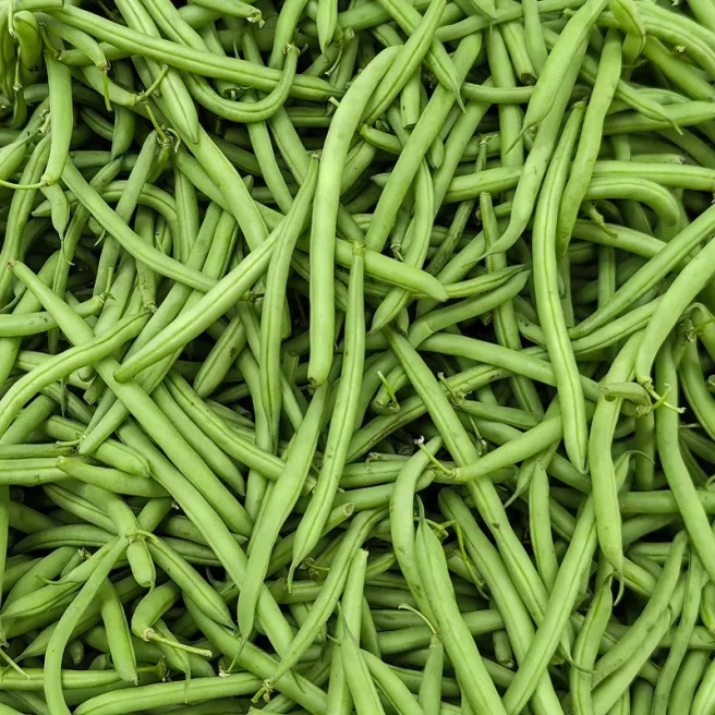 Haricot nain mangetout Délinel