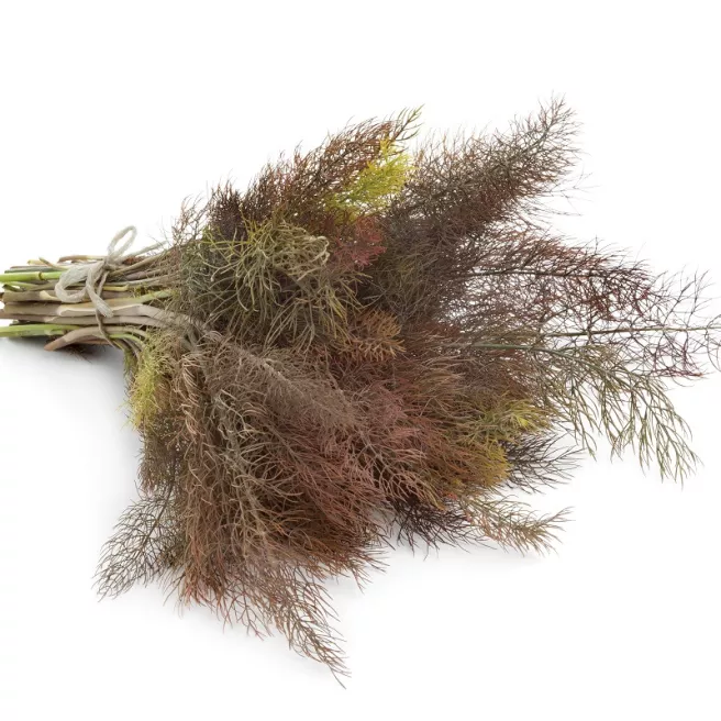 Fenouil Bronze (pourpre) 200 graines