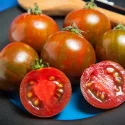 Tomate Black Zebra 25 graines