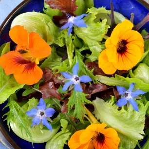 Fleurs comestibles en mélange BIO 2 grammes