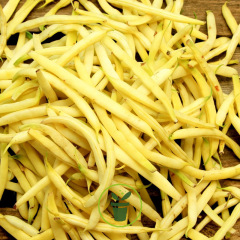 Haricot nain mangetout Dior BIO 15 grammes