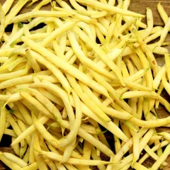 Haricot nain mangetout Dior BIO 15 grammes