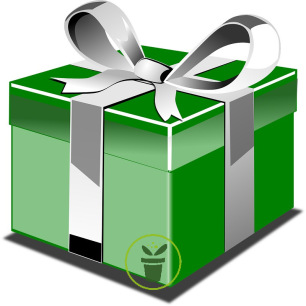 1 Sachet cadeau