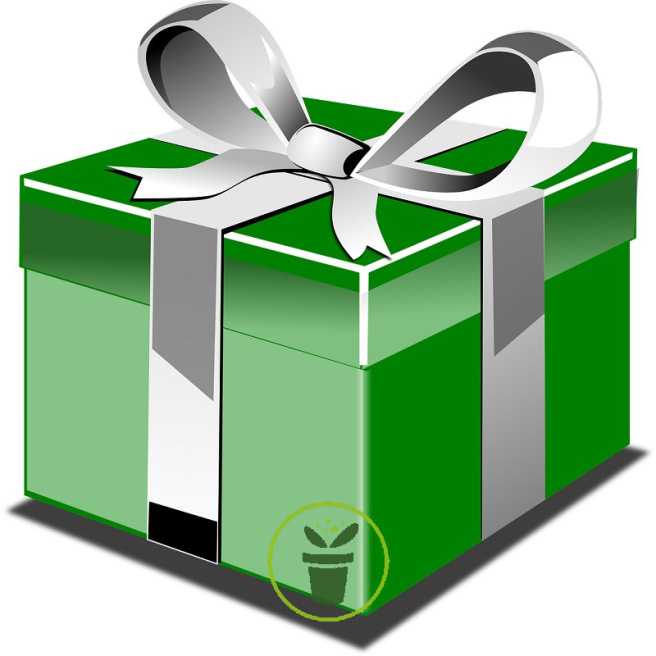 1 Sachet cadeau