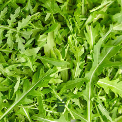 Roquette en ruban présemé