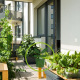 Comment réussir votre potager urbain ? Choisissez les meilleures plantes !