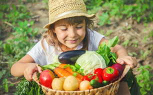 Août au jardin : vos gestes essentiels pour savourer l’abondance et préparer l’automne Août au jardin : vos gestes essentiels pour savourer l’abondance et préparer l’automne