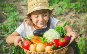 Août au jardin : vos gestes essentiels pour savourer l’abondance et préparer l’automne