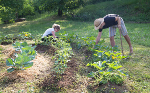 Créer un jardin en permaculture : conseils pour débutants Créer un jardin en permaculture : conseils pour débutants