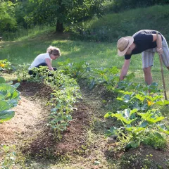Créer un jardin en permaculture : conseils pour débutants