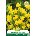 Narcisse botanique – Sachet de 5 bulbes