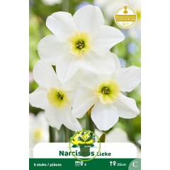 Narcisse botanique Lieke – 5 bulbes