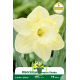 Narcisse Lemon Shake – Sachet de 5 bulbes Narcisse Lemon Shake – Sachet de 5 bulbes