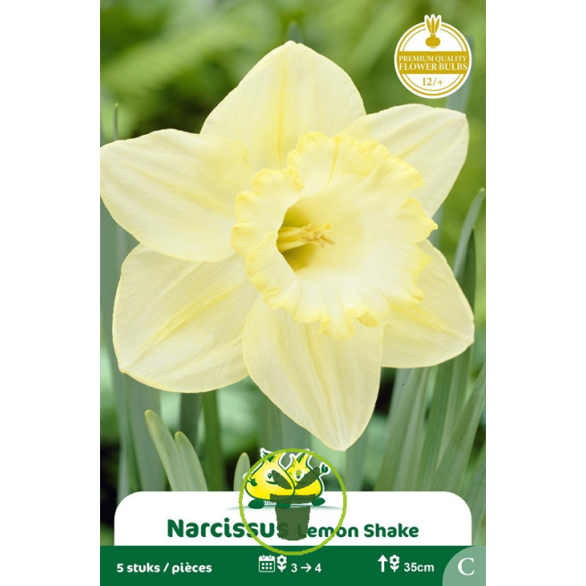Narcisse Lemon Shake – Sachet de 5 bulbes Narcisse Lemon Shake – Sachet de 5 bulbes