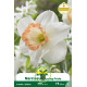 Narcisse Spring Pride – Sachet de 5 bulbes Narcisse Spring Pride – Sachet de 5 bulbes