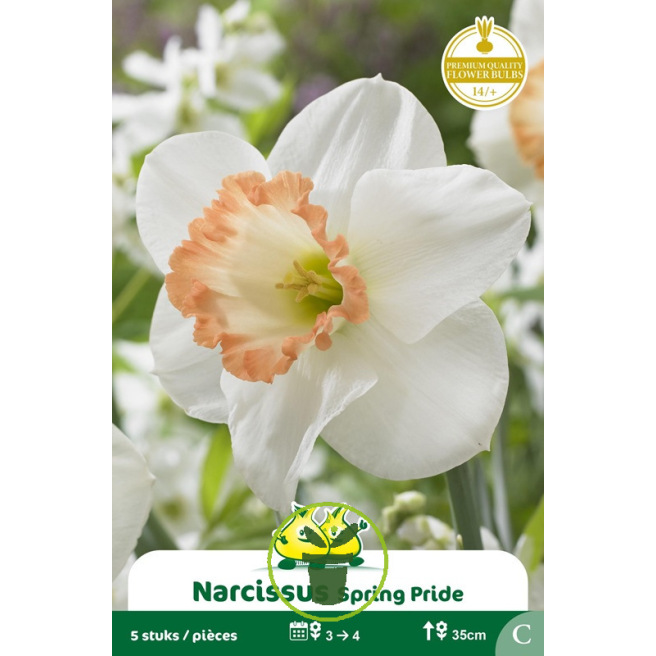 Narcisse Spring Pride – Sachet de 5 bulbes Narcisse Spring Pride – Sachet de 5 bulbes