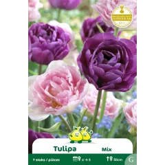 Tulipe double Angélique Lilac Perfection– 7 bulbes