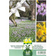 Mélange de bulbes de Crocus et Tulipes des bois – 35 bulbes