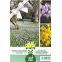 Mélange de bulbes de Crocus et Tulipes des bois – 35 bulbes