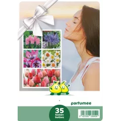 Mélange de bulbes à fleurs parfumées – 35 bulbes