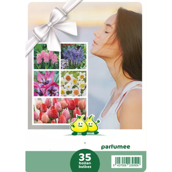 Mélange de bulbes à fleurs parfumées – 35 bulbes