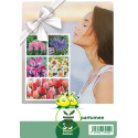 Mélange de bulbes à fleurs parfumées – 35 bulbes