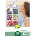 Mélange de bulbes à fleurs parfumées – 35 bulbes