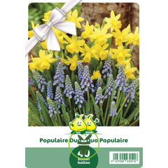 Mélange de bulbes Duo Populaire – 40 bulbes Mélange de bulbes Duo Populaire – 40 bulbes