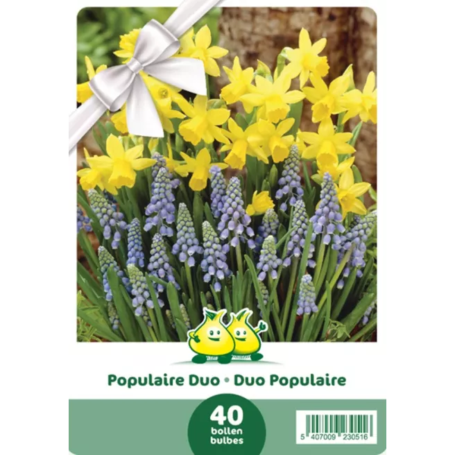 Mélange de bulbes Duo Populaire – 40 bulbes