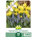 Mélange de bulbes Duo Populaire – 40 bulbes