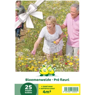 Mélange de bulbes pour prairie fleurie – 25 bulbes + 1 sachet de graines
