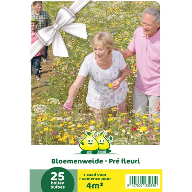 Mélange de bulbes pour prairie fleurie – 25 bulbes + 1 sachet de graines