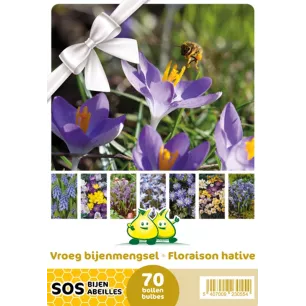Mélange de bulbes SOS Abeilles à floraison hâtive – 70 bulbes