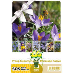 Mélange de bulbes SOS Abeilles à floraison hâtive – 70 bulbes Mélange de bulbes SOS Abeilles à floraison hâtive – 70 bulbes
