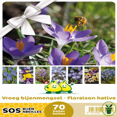 Mélange de bulbes SOS Abeilles à floraison hâtive – 70 bulbes