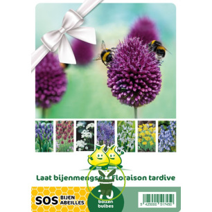 Mélange de bulbes SOS Abeilles à floraison tardive – 70 bulbes