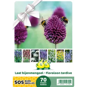 Mélange de bulbes SOS Abeilles à floraison tardive – 70 bulbes