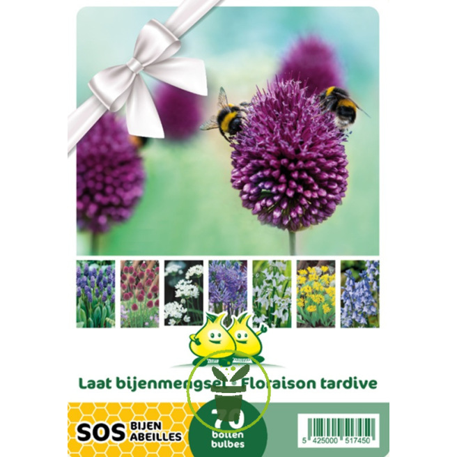 Mélange de bulbes SOS Abeilles à floraison tardive – 70 bulbes Mélange de bulbes SOS Abeilles à floraison tardive – 70 bulbes