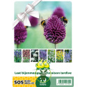 Mélange de bulbes SOS Abeilles à floraison tardive – 70 bulbes