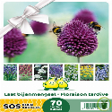 Mélange de bulbes SOS Abeilles à floraison tardive – 70 bulbes