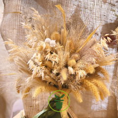 Mélange de graminées ornementales 400 graines