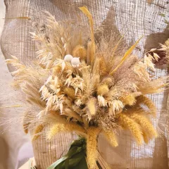 Mélange de graminées ornementales 400 graines